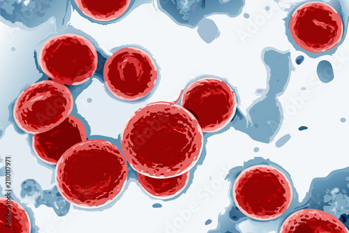 Fotografía Red Blood Cells In Aqueous Environment Digital Illustration With Blue Tones