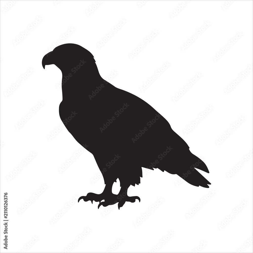 Fototapeta premium BALD Eagle Silhouette Isolated on White Background