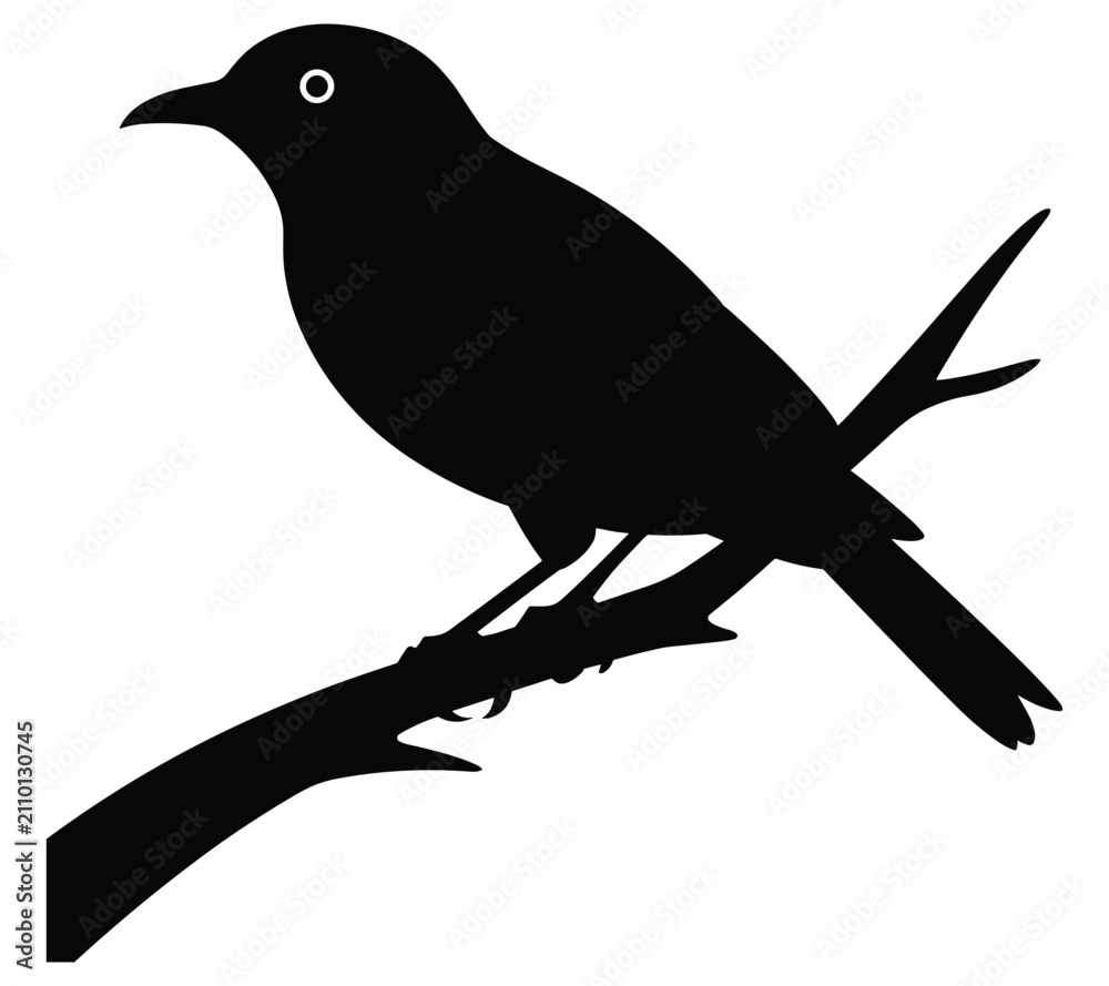Obraz premium Bird Silhouette On Branch Black And White Graphic