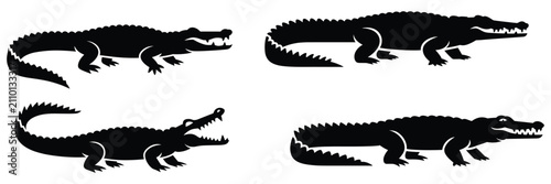 Canvastavla Crocodile Silhouettes On White Background Four Different Poses