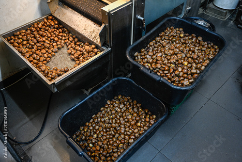 Принти на полотні Stirring chestnuts in  a chestnut roaster in the city of Tayibe, Israel