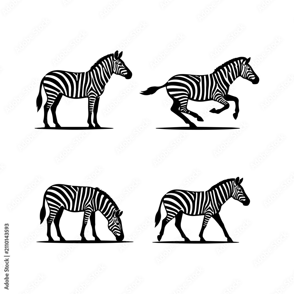 Obraz premium Zebra Silhouette Collection