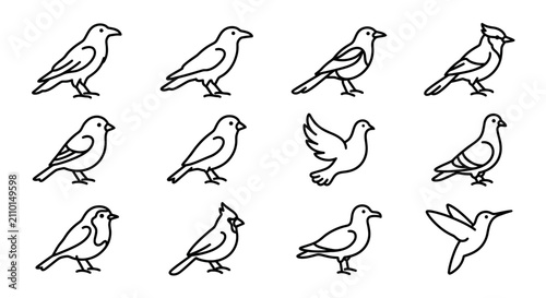 Canvas-taulu Collection of Bird Silhouettes: Diverse Avian Icons for Design and Illustration