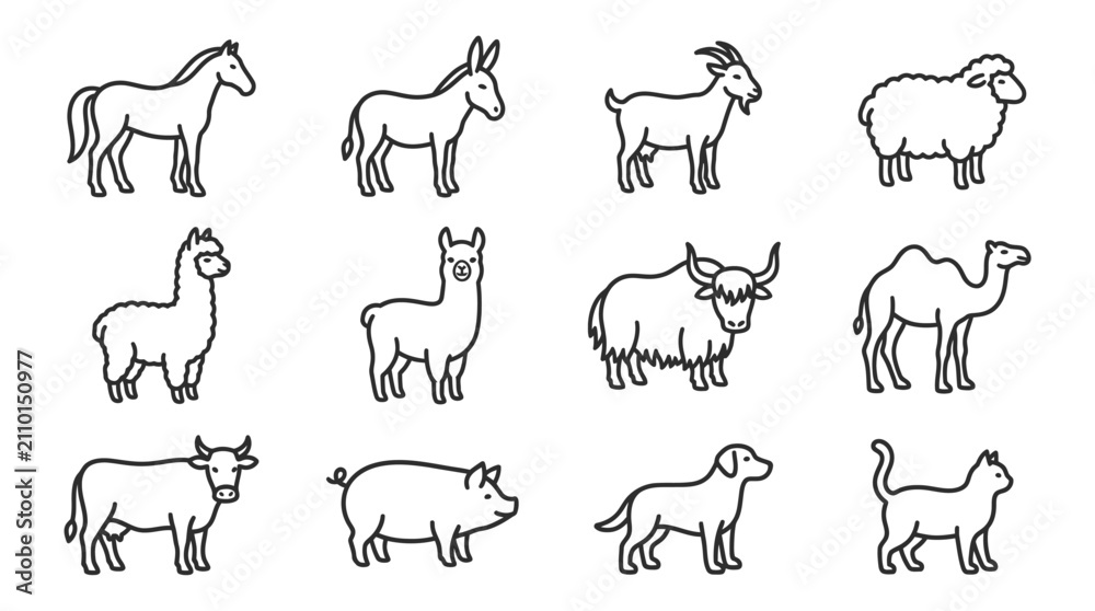 Fototapeta premium Farm Animals Collection - Horse, Donkey, Goat, Sheep, Llama, Yak, Camel, Cow, Pig, Dog, Cat