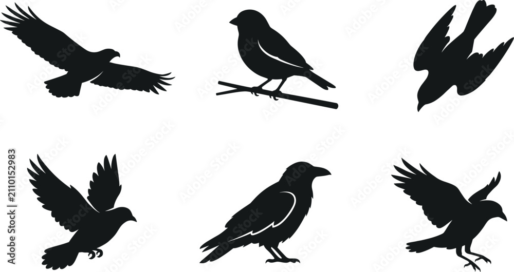 Fototapeta premium Bird Silhouette Collection with Flying Perching and Raven Vector Icon SetBird Silhouette Collection with Flying Perching and Raven Vector Icon Set