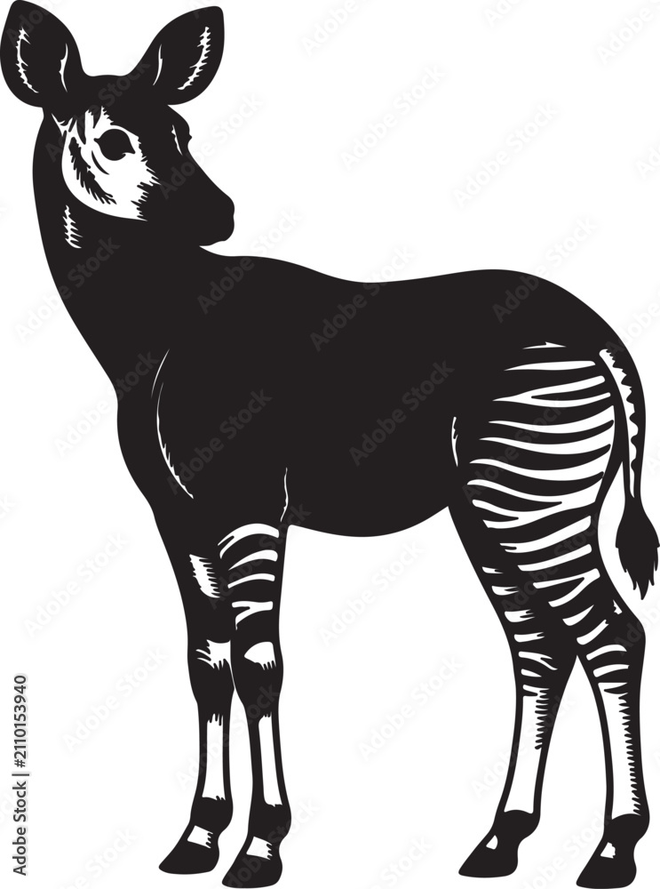 Obraz premium Elegant Okapi Standing Three Quarter Profile