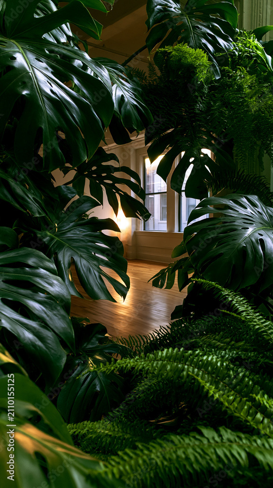Fototapeta premium jungle foliage frame with serene pilates space, tropical leaf border in warm morning light, lush botanical foreground framing a bright wellness studio