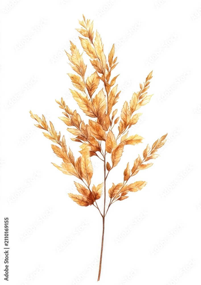 Obraz premium Illustration watercolor botanical autumn.