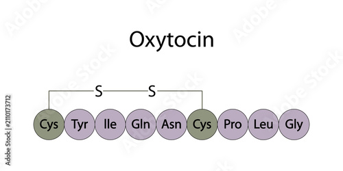 Structure of Oxytocin (hormone)