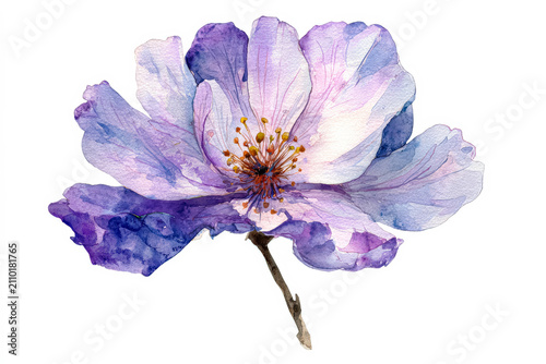 Purple Flower Watercolor Illustration on White Background