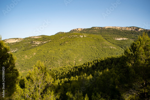 Bild auf Leinwand Vast mountainous area of ​​Mediterranean forest