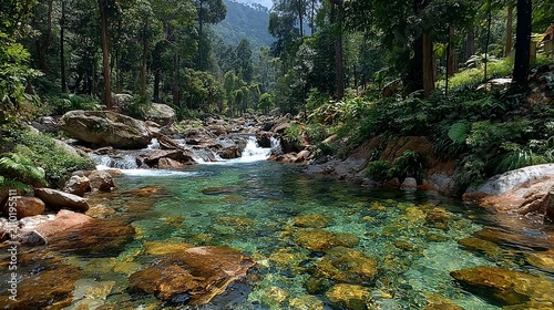 Serene forest stream with crystal clear water cascading over smooth rocks forming a natural beauty