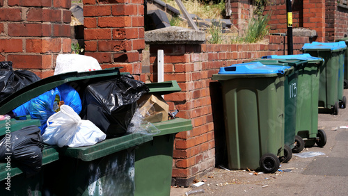 Cuadro en lienzo Wheelie bin, rubbish, overflow, waste, garbage, trash, row of overflowing green