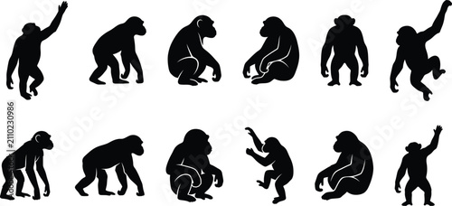 Quadro su tela Set of black silhouette monkey icons in various poses for a creative animal vect