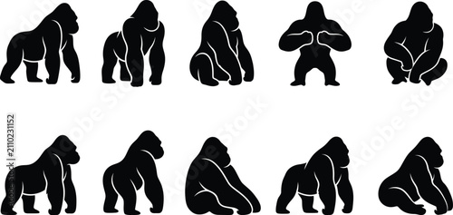 Photography Set of black gorilla silhouettes in various poses as a professional animal vecto