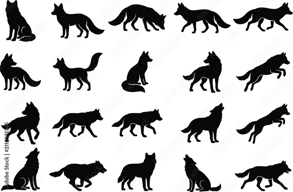 Obraz premium Set of black wolf silhouettes in various poses for a professional animal vector graphic design collection