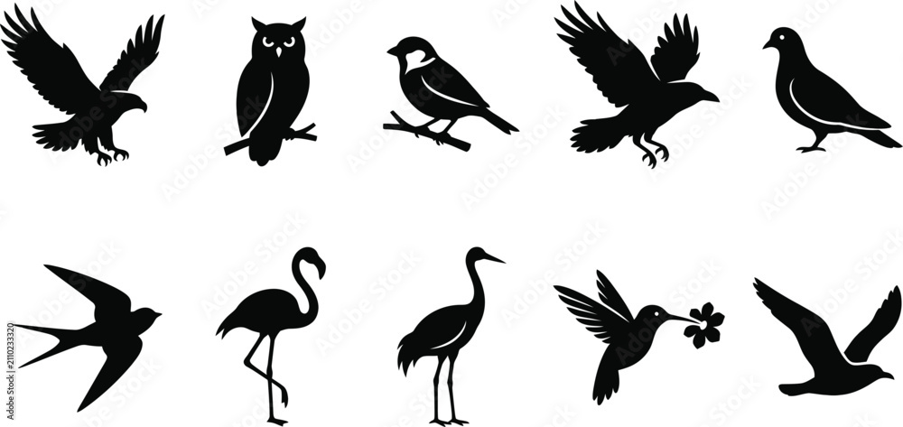 Obraz premium Collection of various bird silhouettes including eagle owl sparrow flamingo crane hummingbird and seagull isolated on white background