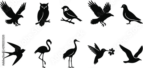 Foto Collection of various bird silhouettes including eagle owl sparrow flamingo cran