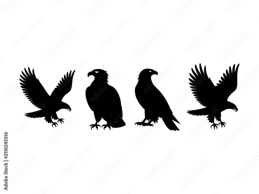 Fototapeta premium Six black silhouettes of majestic eagles and hawks in various flying and standing poses, a powerful graphic icon set for emblems or logos representing freedom and strength 