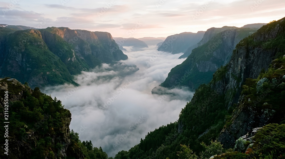 Obraz premium Fog fills a dramatic mountain valley between forested cliffs at dawn, suited for adventure travel campaigns, nature editorials, and outdoor retreat marketing.