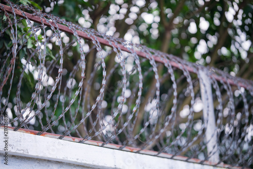 Foto Coiled razor wire fence on top of a concrete wall with blurred green trees in th