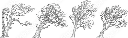 Canvastavla Hand drawn line art illustration set of trees bending in strong wind and storm
