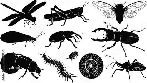 Konstfotografi Insect Silhouette Collection Featuring Beetles Dragonfly Grasshopper Centipede a