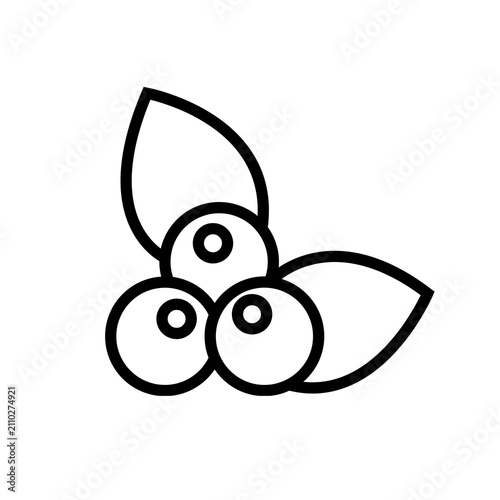 Blueberry Cluster with Leaves Line Art Vector Illustration, Minimal Fresh Fruit Outline Icon