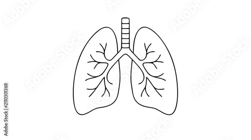 Hand-drawn vector illustration of human lungs showing bronchial tree structure and trachea. Clean line art perfect for healthcare, medical education, respiratory system diagrams, and anatomy