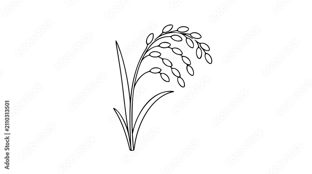 Obraz premium Minimalist vector icon of a single rice stalk with grain head, hand-drawn outline illustration for agricultural branding, organic food packaging, and nature-inspired design projects.