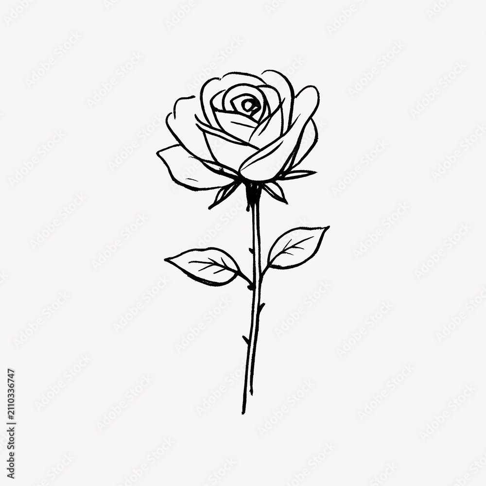 Obraz premium Elegant black rose line art