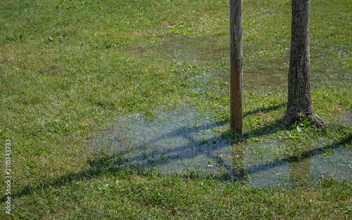 After the rain. A puddle of water in the park, among the green grass.