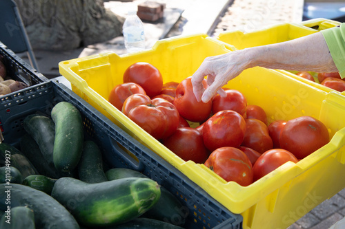 vegetables on the market