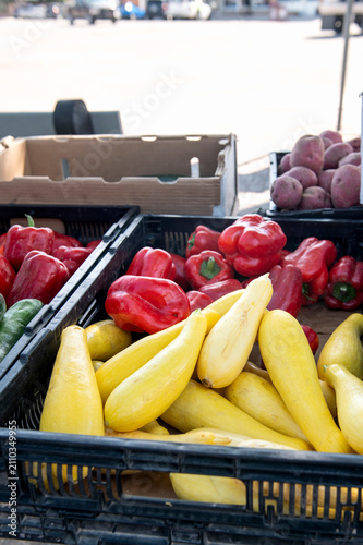  vegetables on the market