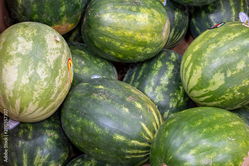 Fresh watermelons in grocery store bin