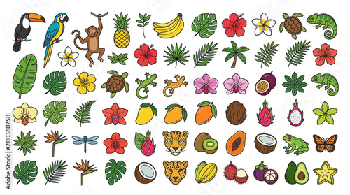 Sticker Tropical rainforest animals and exotic fruit illustrations