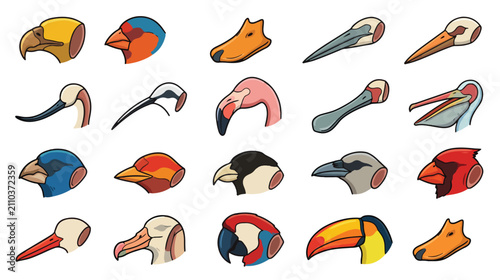 Bild auf Leinwand Bird beak types icon set for ornithology education