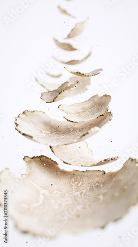 White truffle slices arranged in a cascading pattern on a white background
