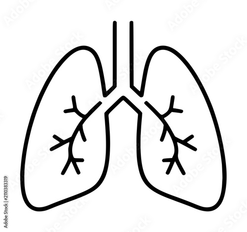 Human lungs vector icon with bronchial branches - minimalist line illustration for healthcare and medical design