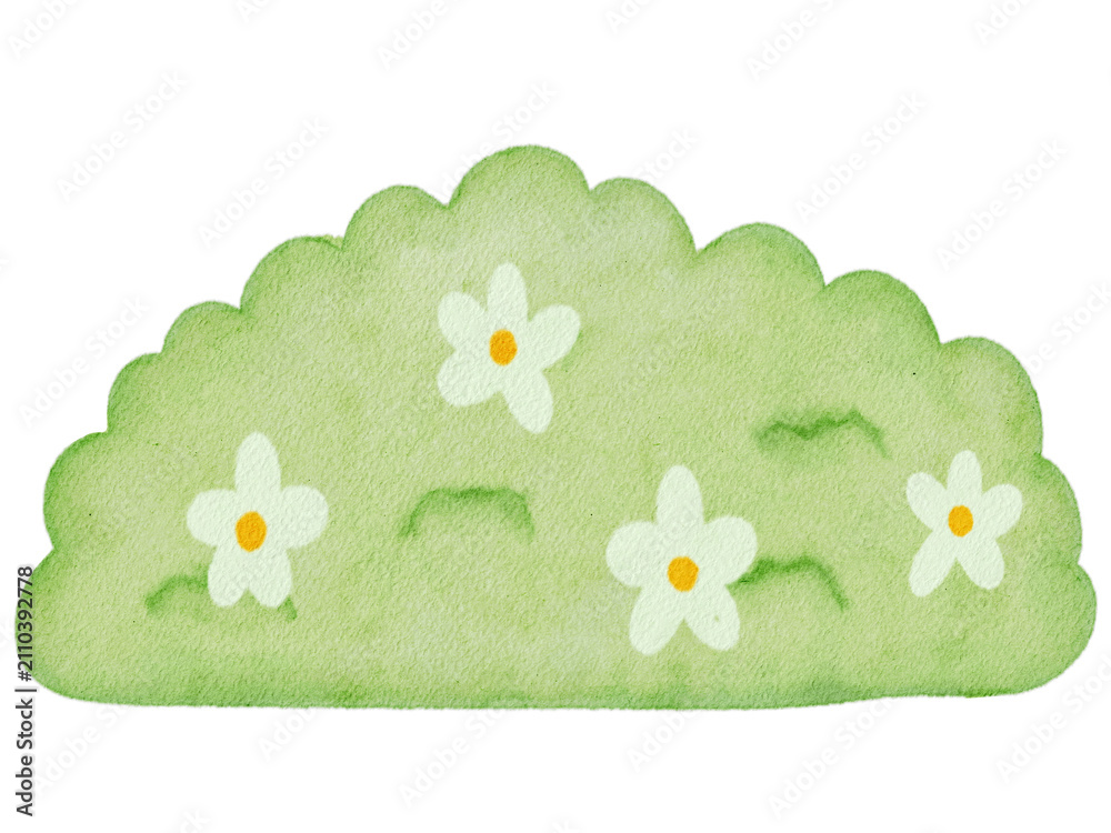 Obraz premium Watercolor Cute Grass Illustration 