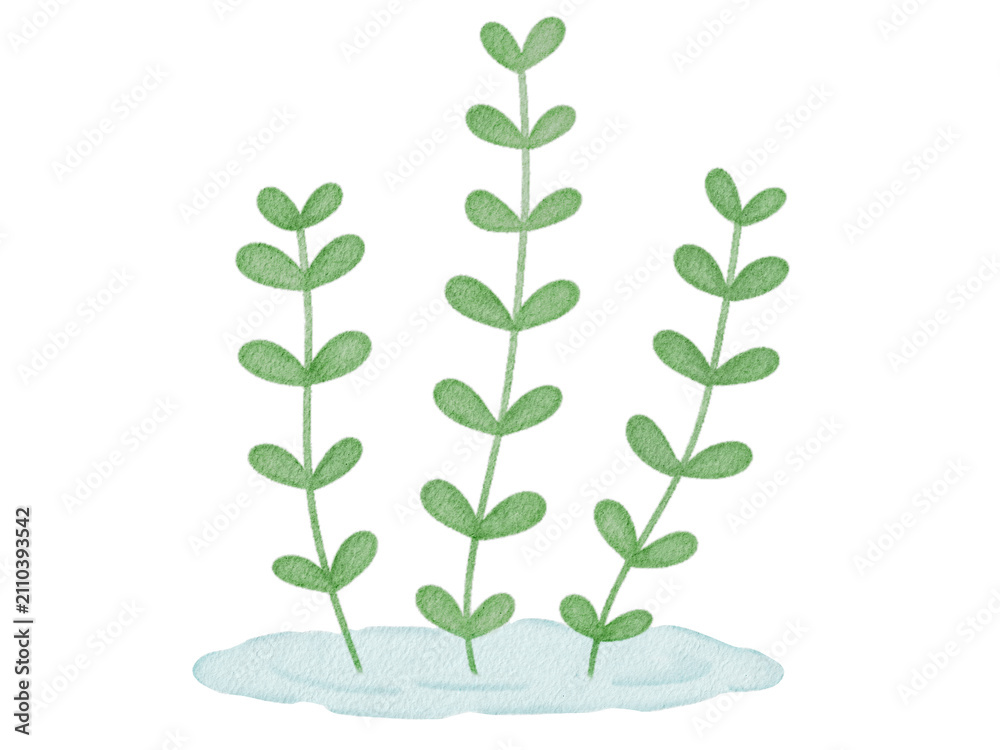 Obraz premium Watercolor Illustration of Green Plant Stems On Water 