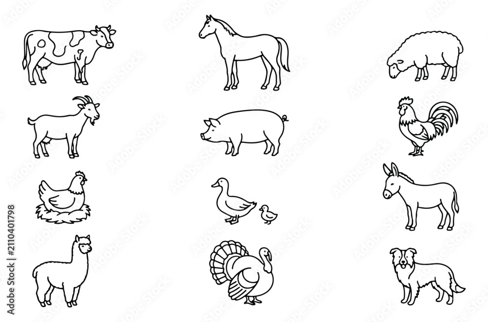 Fototapeta premium Minimalist farm animal line icons, set of 12 black and white livestock vector illustrations, simple outline farmyard creatures for coloring or logos