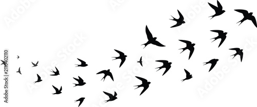 Flock of flying birds silhouette vector illustration swallows migrating in sky concept of freedom hope peace isolated on white background stock image