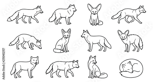 Obraz na płótnie Minimalist fox line art collection, set of 12 wild animal vector icons, simple b