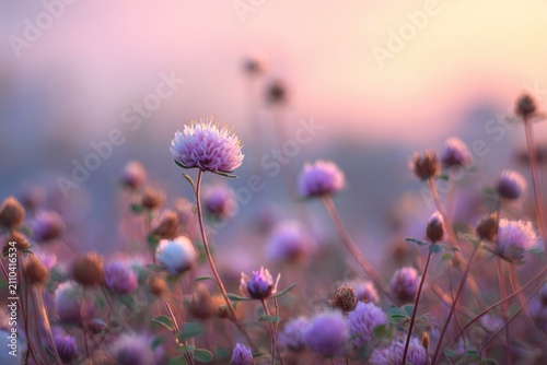 Close-up of field flowers in shades of purple and pink with an out-of-focus background. Soft light and bokeh create a serene atmosphere