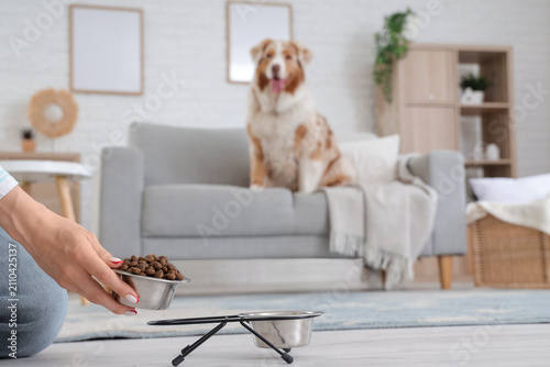 Young woman pouring dry pet...