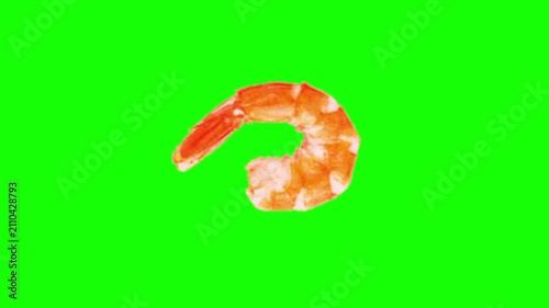 Crispy Fried Shrimp Green Screen Animation