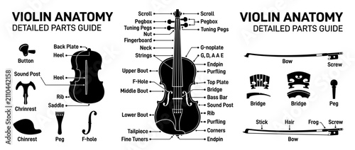 Obraz na plátně Violin Anatomy Diagram with Detailed Parts Guide