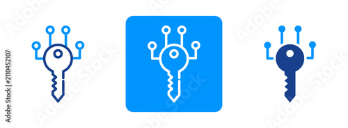 Konstfotografi Digital Key Icon In Dual Tone Style