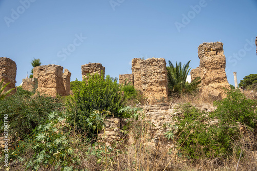 Принти на полотні Tall vegetation around stone pillars in the ancient ruins of Carthage, on the ou